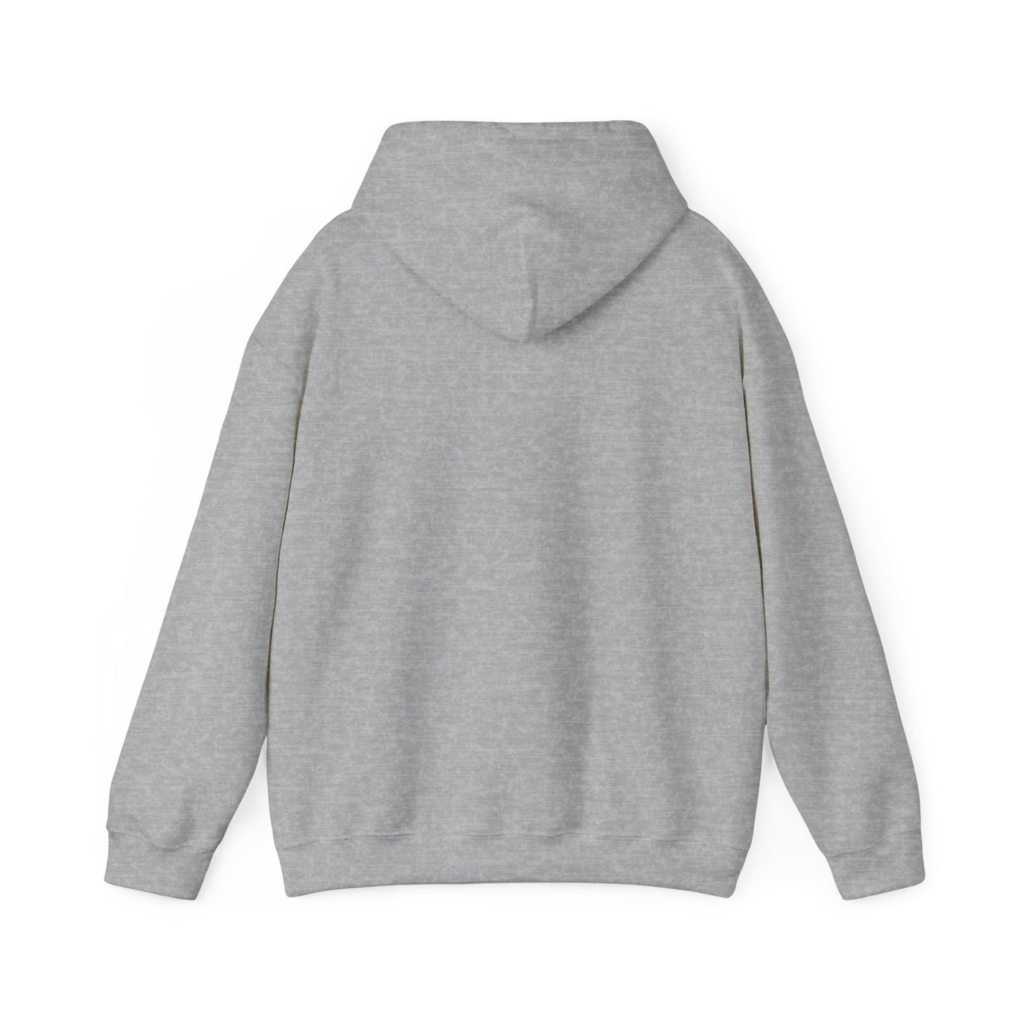 Funny Graphic Hoodie, Unisex Hooded Sweatshirt, Casual Style, Relaxed Fit, Gift for Him or Her
