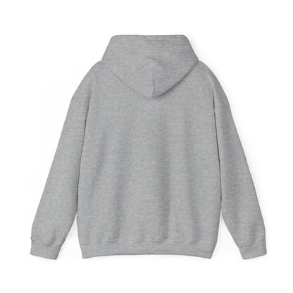 Funny Graphic Hoodie, Unisex Hooded Sweatshirt, Casual Style, Relaxed Fit, Gift for Him or Her